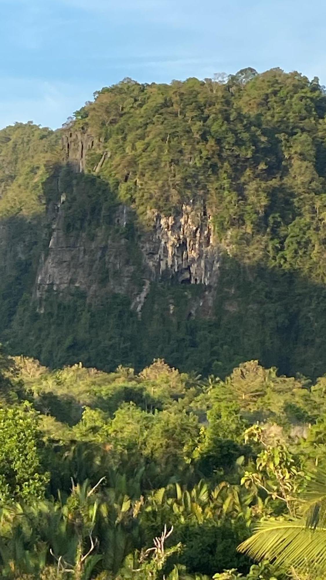Rammang Rammang Ecolodge And Cafe Kasijala エクステリア 写真