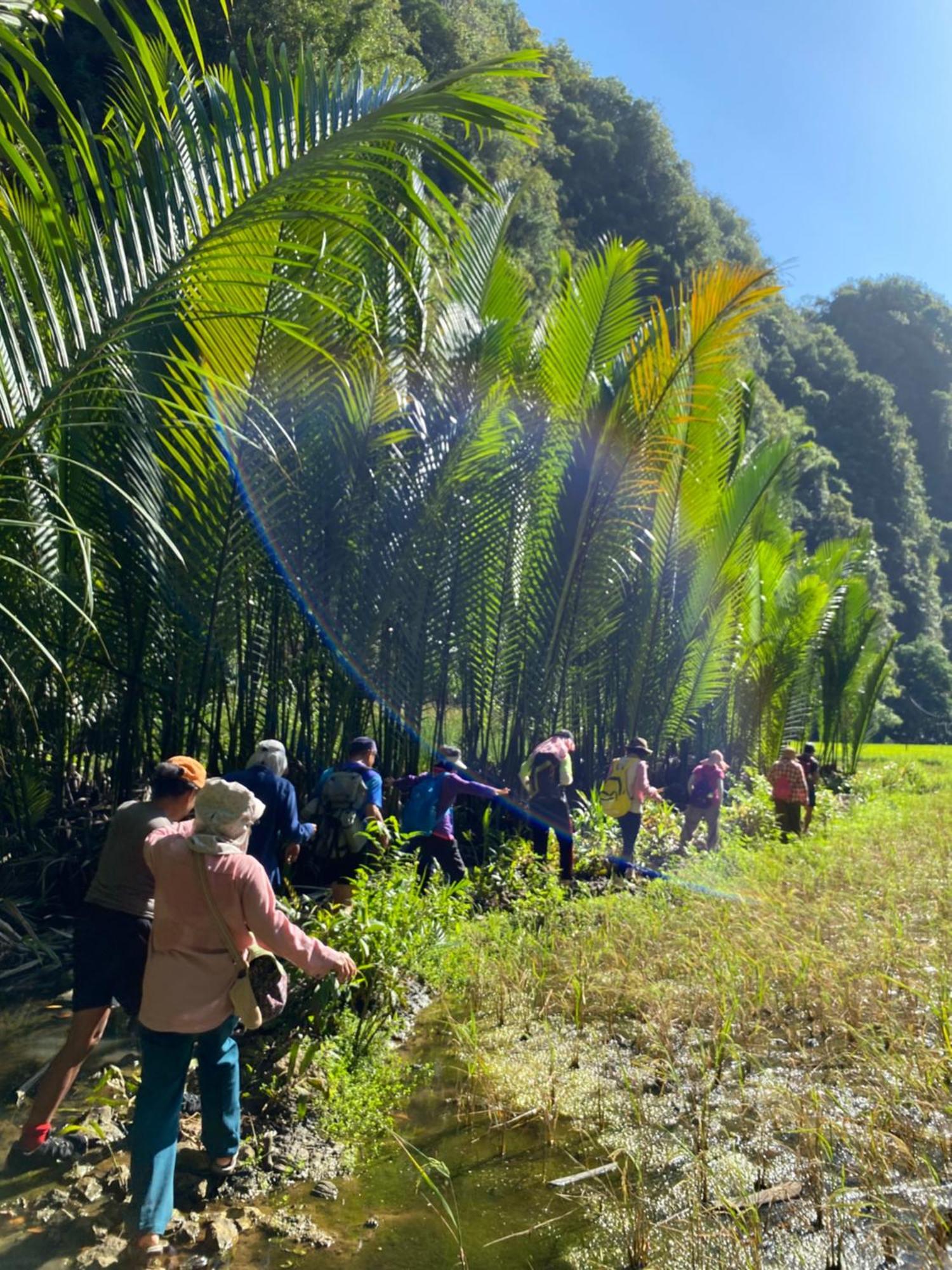 Rammang Rammang Ecolodge And Cafe Kasijala エクステリア 写真